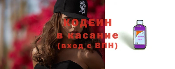 гашик Костерёво